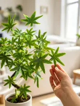 高級感あるフェイクグリーンミニ植物【インテリア装飾・シンプルデザイン】