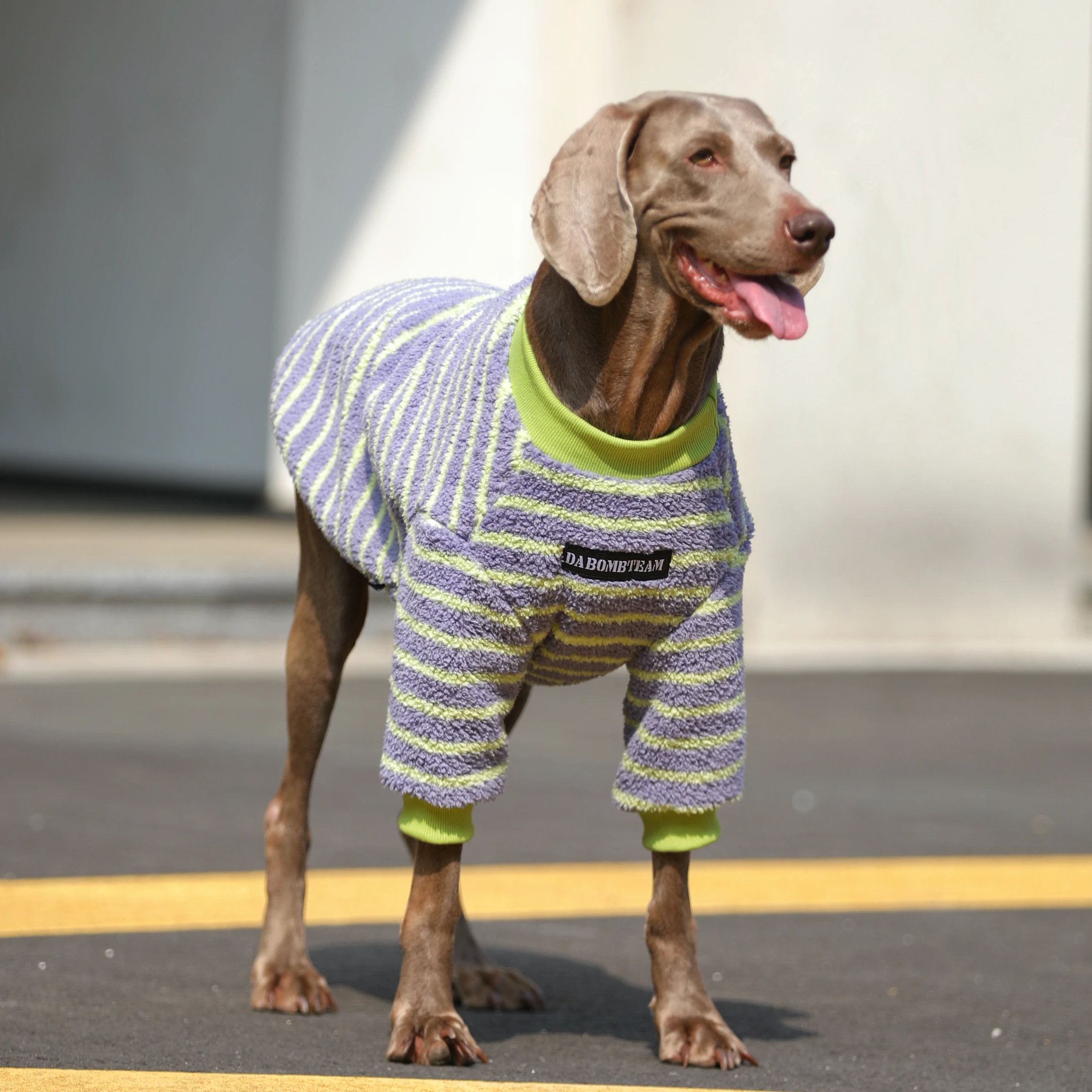 大型犬用ハンモックは冬のアウトドアで保暖性と通気性のバランスを実現