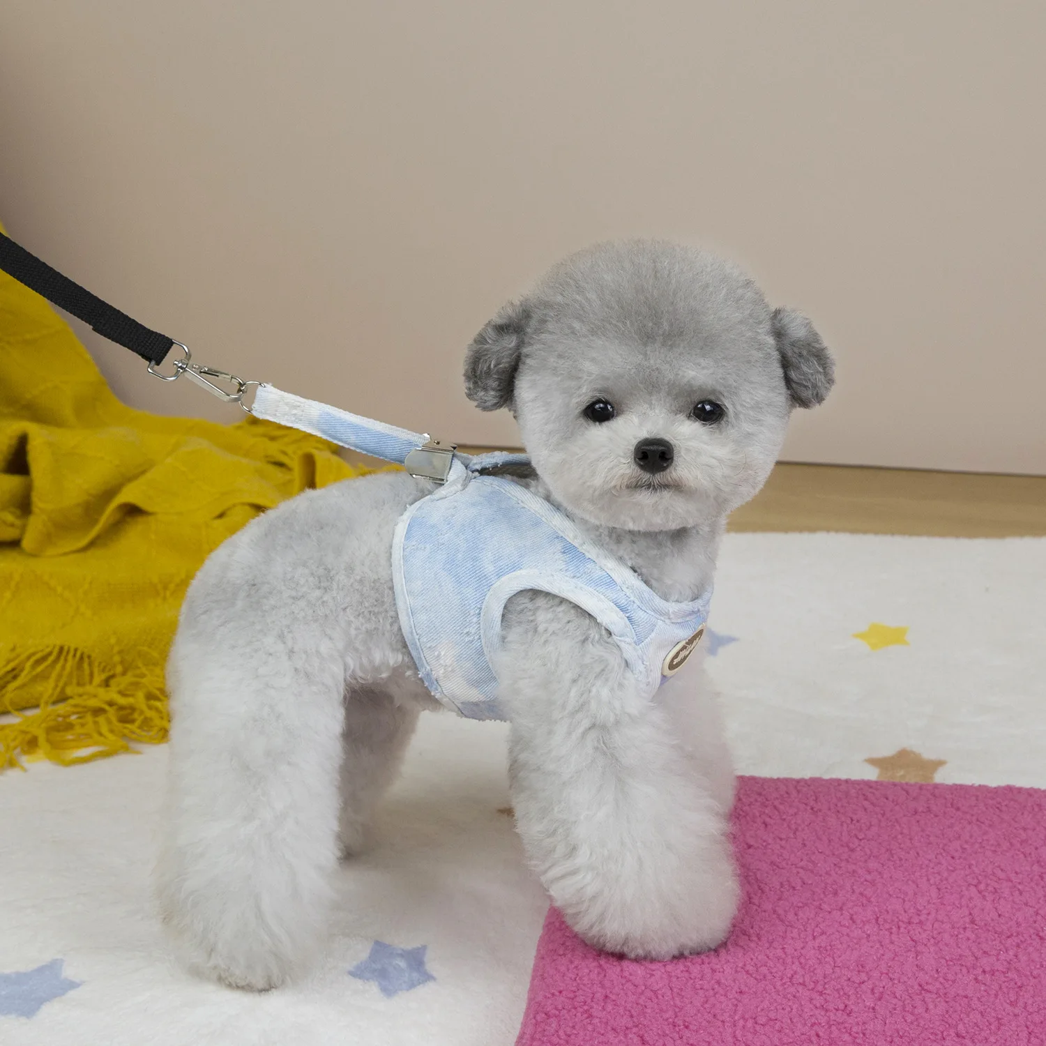 カラフルデニム製ペットハーネス：小型犬用の春夏対応リード付きデザイン