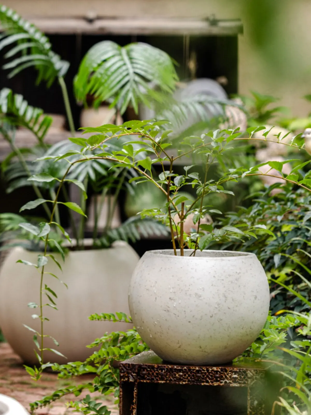 植木鉢6号を選ぶときに迷うなら、この1つのデザインが答えになる？