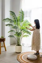 擬似緑植物 室内装飾 植物景観 サンパギータ