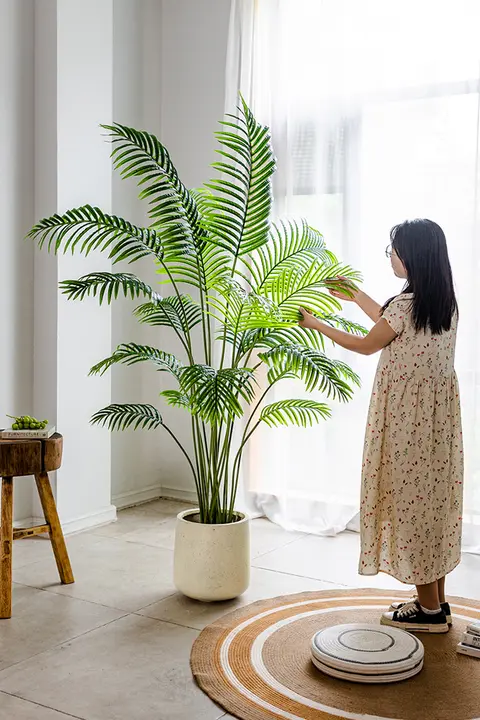 擬似緑植物 室内装飾 植物景観 サンパギータ