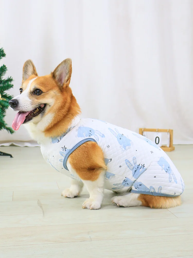 小型犬服の選び方：全棉素材で抜け毛防止の背心が実用性を実証