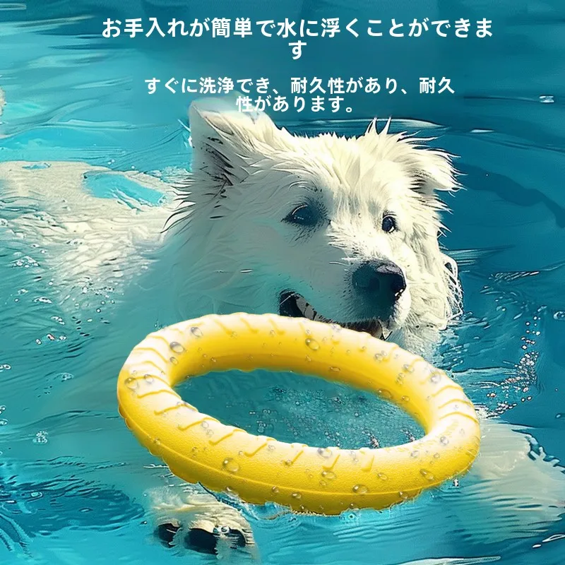 犬首輪とは何か？その本質と、私たちの暮らしにどう関わるのか
