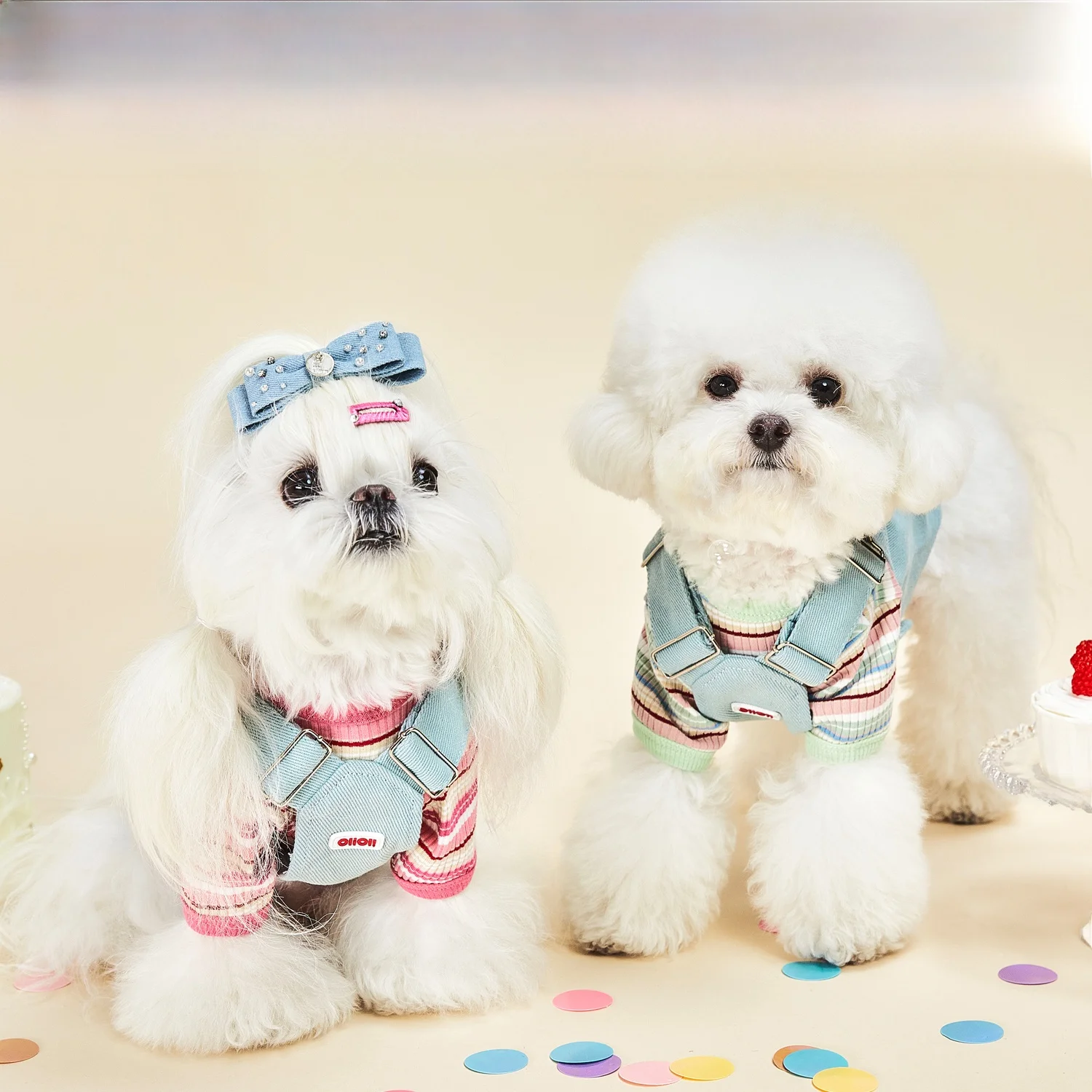犬のお散歩グッズをコスパ良く揃える方法｜軽量通気ハーネスの選び方と実際の使い方