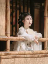古風な大袖の女性用トップス【魏晋風・ルーズフィット・秋用】