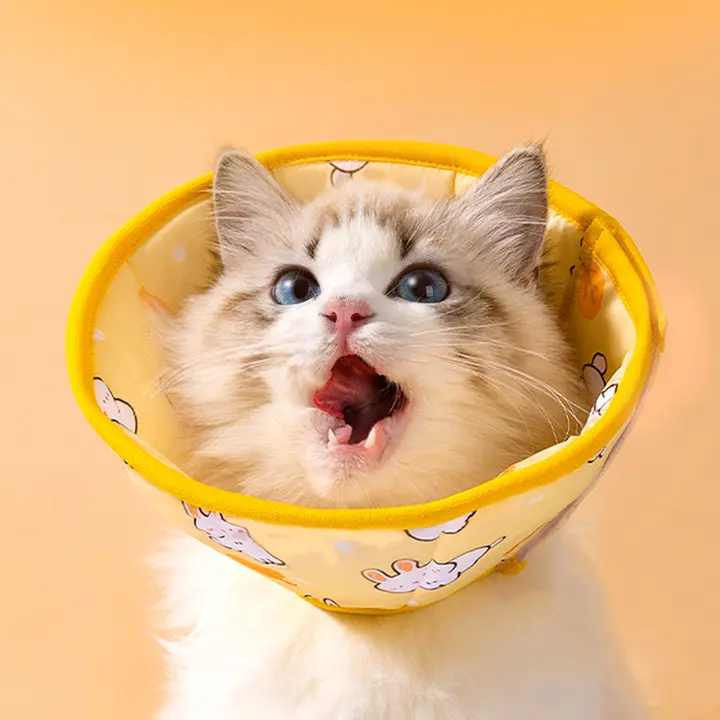 術後の保護に最適！ペット用エリザベスカラー【ソフトネックガード・猫・犬対応】