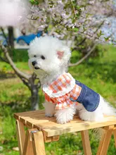 デニムサロペットワンピース【犬猫用・夏用・プリンセススタイル】（セットアップ対応）