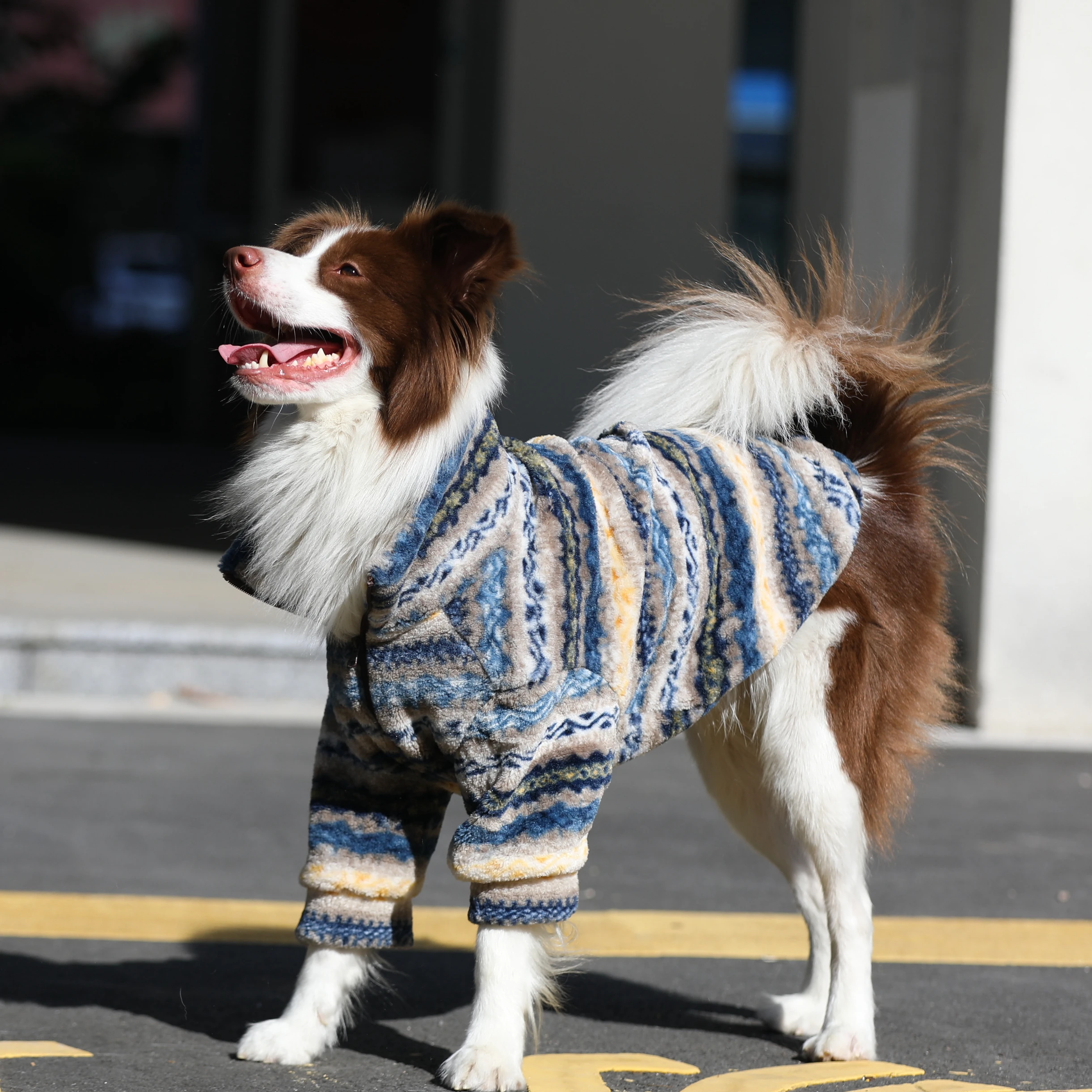 ボーダーコリーの寒さ対策に最適な大型犬用羊毛風ジャケット