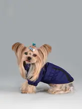 小型犬用 冬用防寒ジャンパー【保温性・リードフック付き・コーギー・ビションフリーゼ対応】