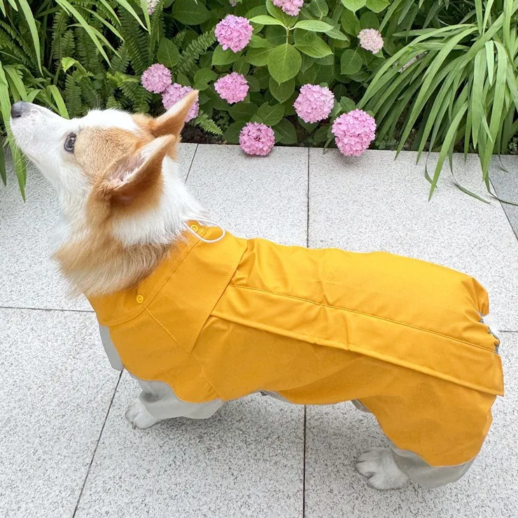 犬のお散歩グッズをコスパ良く揃える方法｜全身カバーで複数シーン対応の実践ガイド