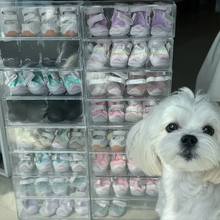 犬用靴収納ボックス【犬用品整理・多機能・仕切り付き】（セットアップ対応）