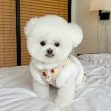 ペット用 秋冬新作 裏起毛 花柄 ボーダー ワンピース【犬・猫用・ハーネス付き・お正月用】