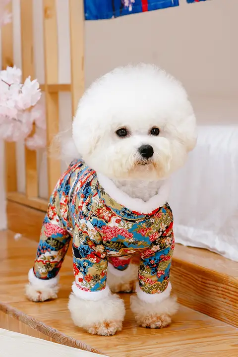 小型犬用衣服 春節用 ぺット用テディベア 冬用 加厚フリース 四脚パンツ