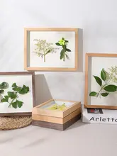 植物標本ディスプレイボックス【立体デザイン・実木製・創造的インテリア】