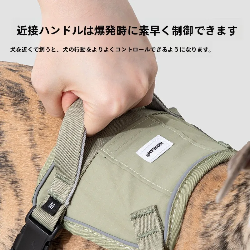 犬のお散歩グッズをコスパ良く揃える方法 - 防爆設計のハーネスリードセット