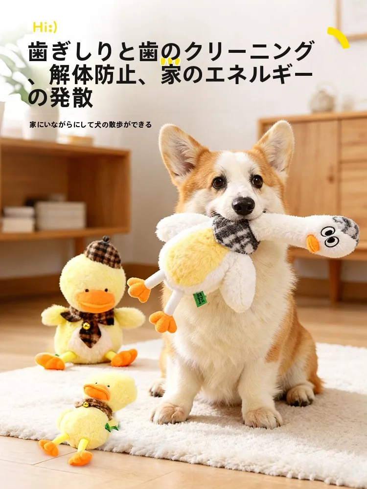 犬用玩具【毛布製・おしゃべり・歯磨き効果あり】の選び方と実際の使用シーン