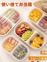 果物紙パルプ製使い捨て弁当箱【アウトドア・キャンプ・ピクニック用】