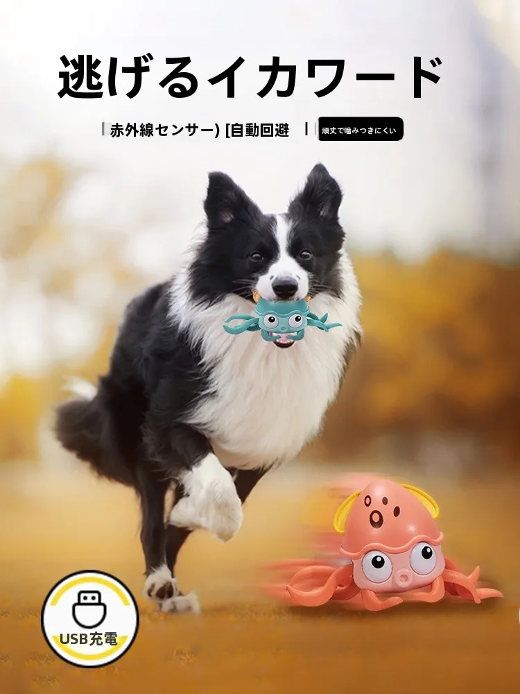 4歳の子に買ってよかったおもちゃは？子犬タイプの解消おもちゃがなぜおすすめなのか