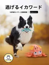 おもちゃ 子犬 解消 噛む ぴったりビションテリア テディ 耐噛