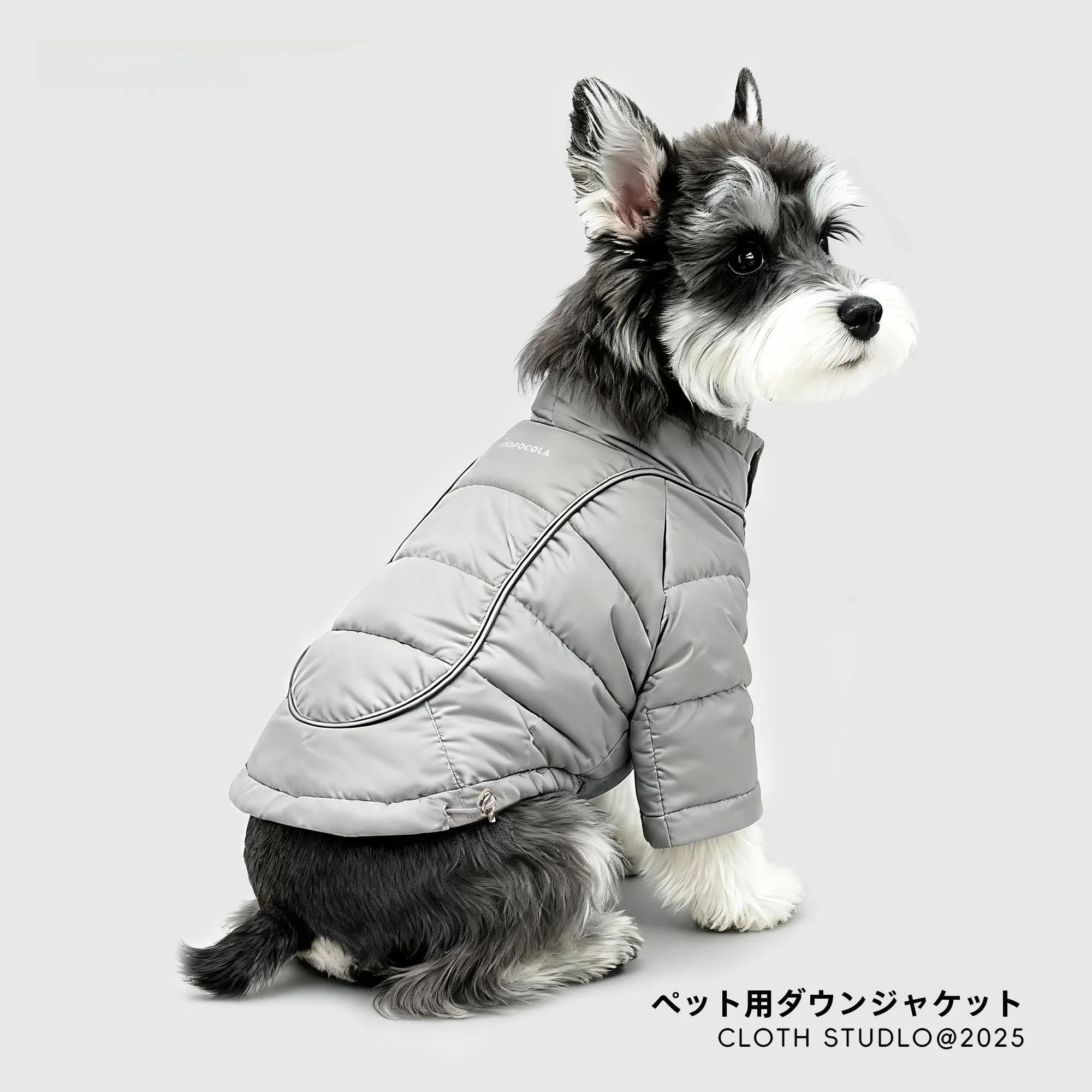 柴犬の通気性と防水性を両立できるレインコートは、今こそ選ぶべき？