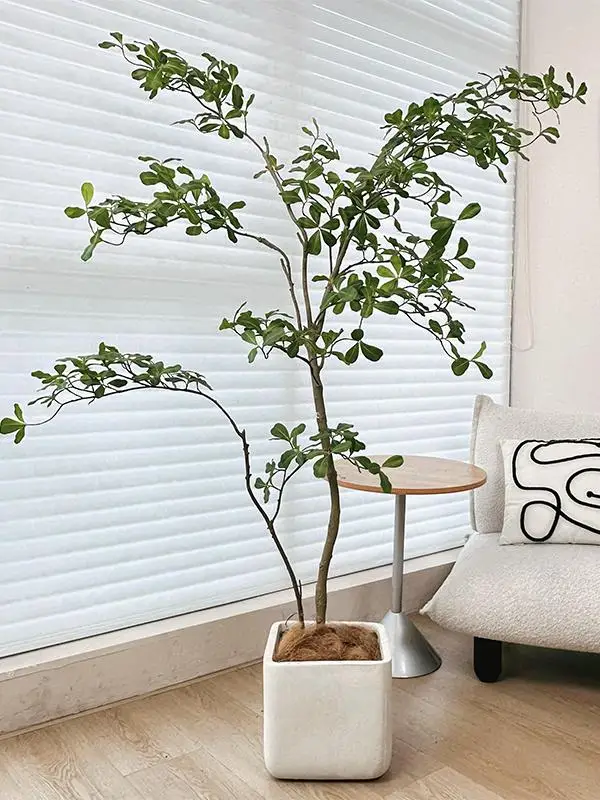 インテリア買い物リストに加えるべき花の飾り品は？緑の存在が空間を和らげる秘密