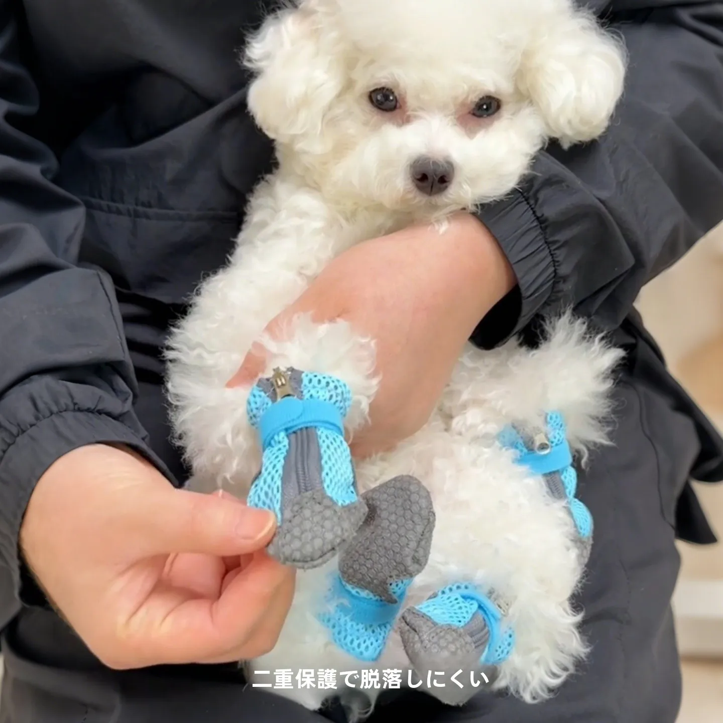 犬の散歩中に足を通さないで暑さを守るには？夏の防熱靴選びの本質とは