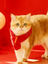猫用赤いニットスカーフ【冬用・保温・猫用・犬用】