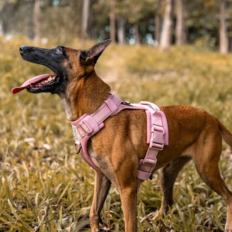 反射材質の胸部ハーネス【中大型犬用・脱出防止・屋外用】