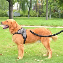 光るハーネス付きリード【伸縮式・ペット用・犬用】
