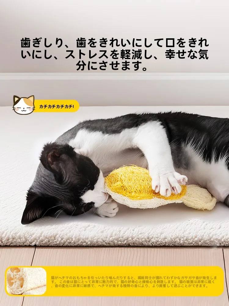 猫ケージに遊びをさせるおもちゃとは？実は「歯磨き・解消・猫じゃらし」が最強の選択肢