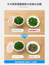 冷蔵庫収納用葱・生姜・にんにく保存ボックス【水切り機能付き・食品グレード】