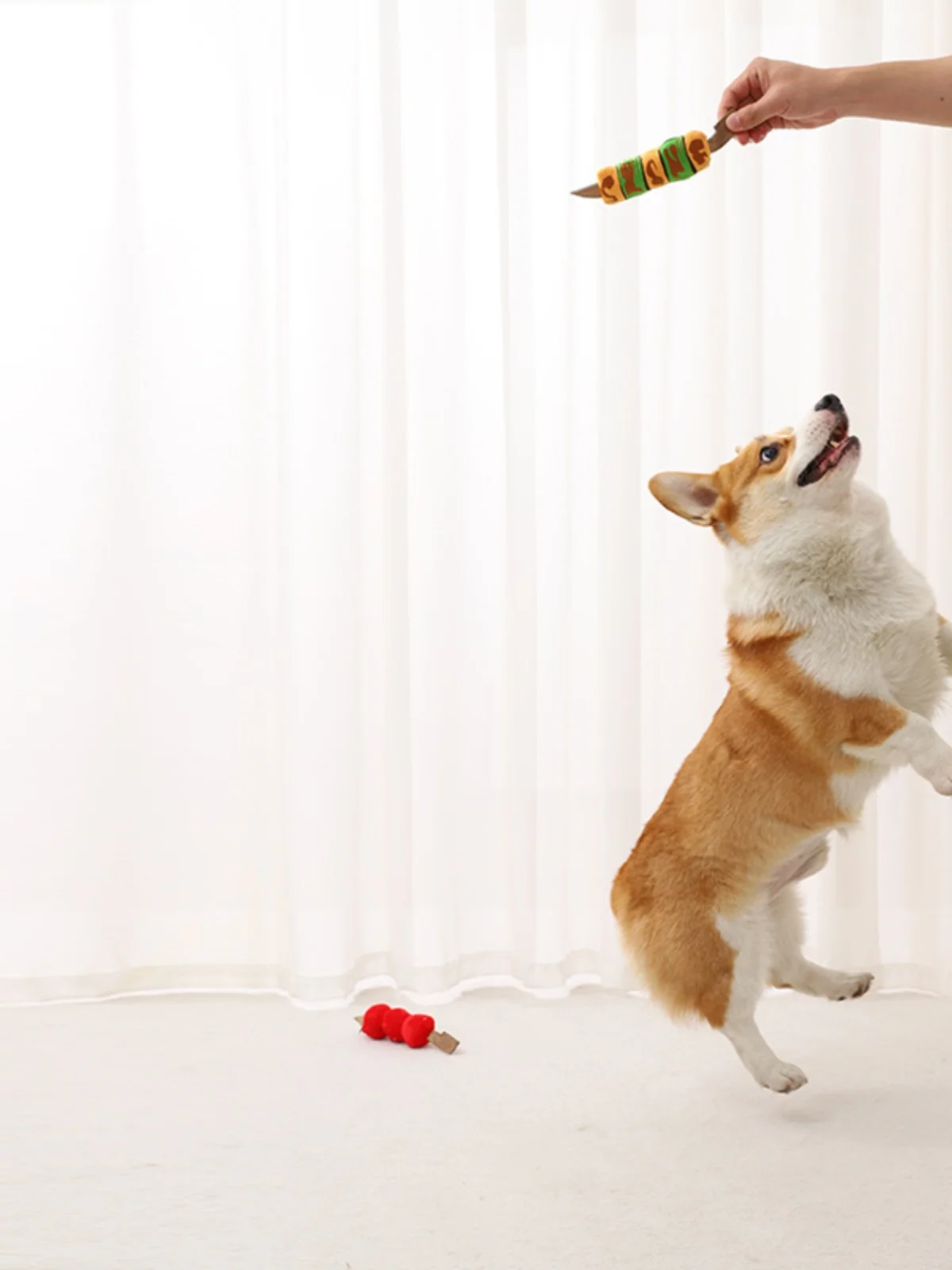 犬用おもちゃ 火鍋グリル風アニマルドール：耐噛み・音鳴り・麻紐付きの中小型犬向け実用性解析