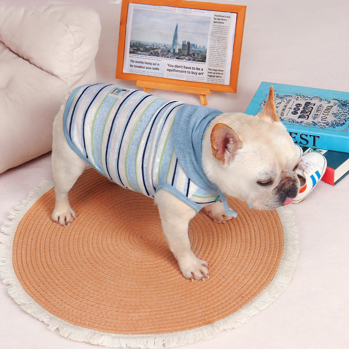 夏用犬服ストライプ軽量透湿性虫除け対応の実用性と使用シーン