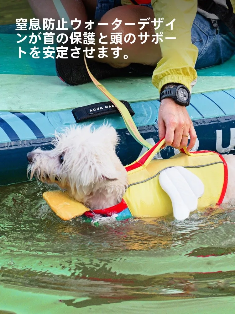 犬を飼う初心者に、夏の水辺で安心できる「救命ベスト」はどれがおすすめ？