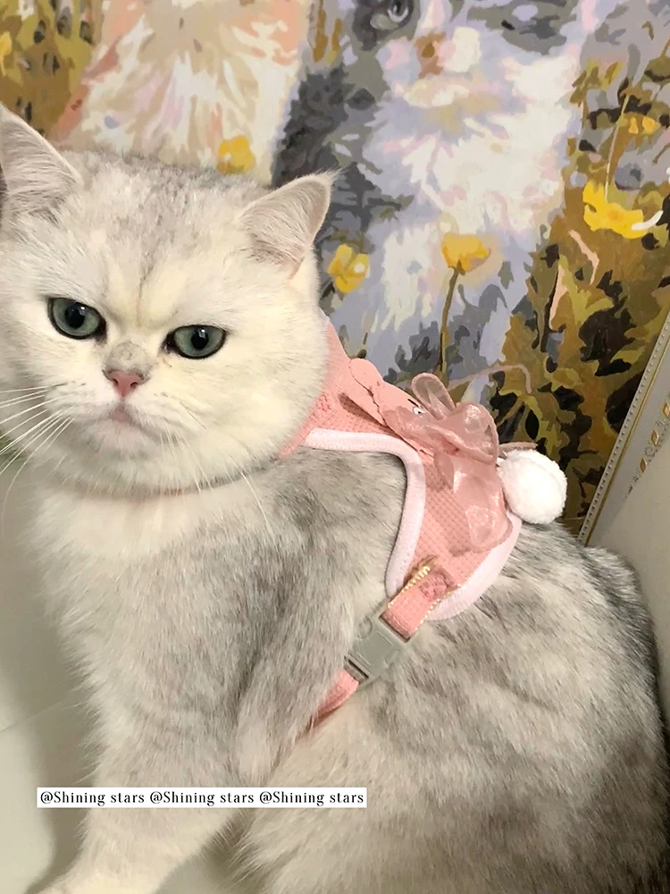 愛らしいクマデザインのペット用ハーネス：調節可能で猫や小型犬に最適な使い方と選定基準