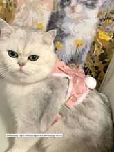 愛らしいクマデザインのペット用ハーネス【調節可能・猫や小型犬に最適】
