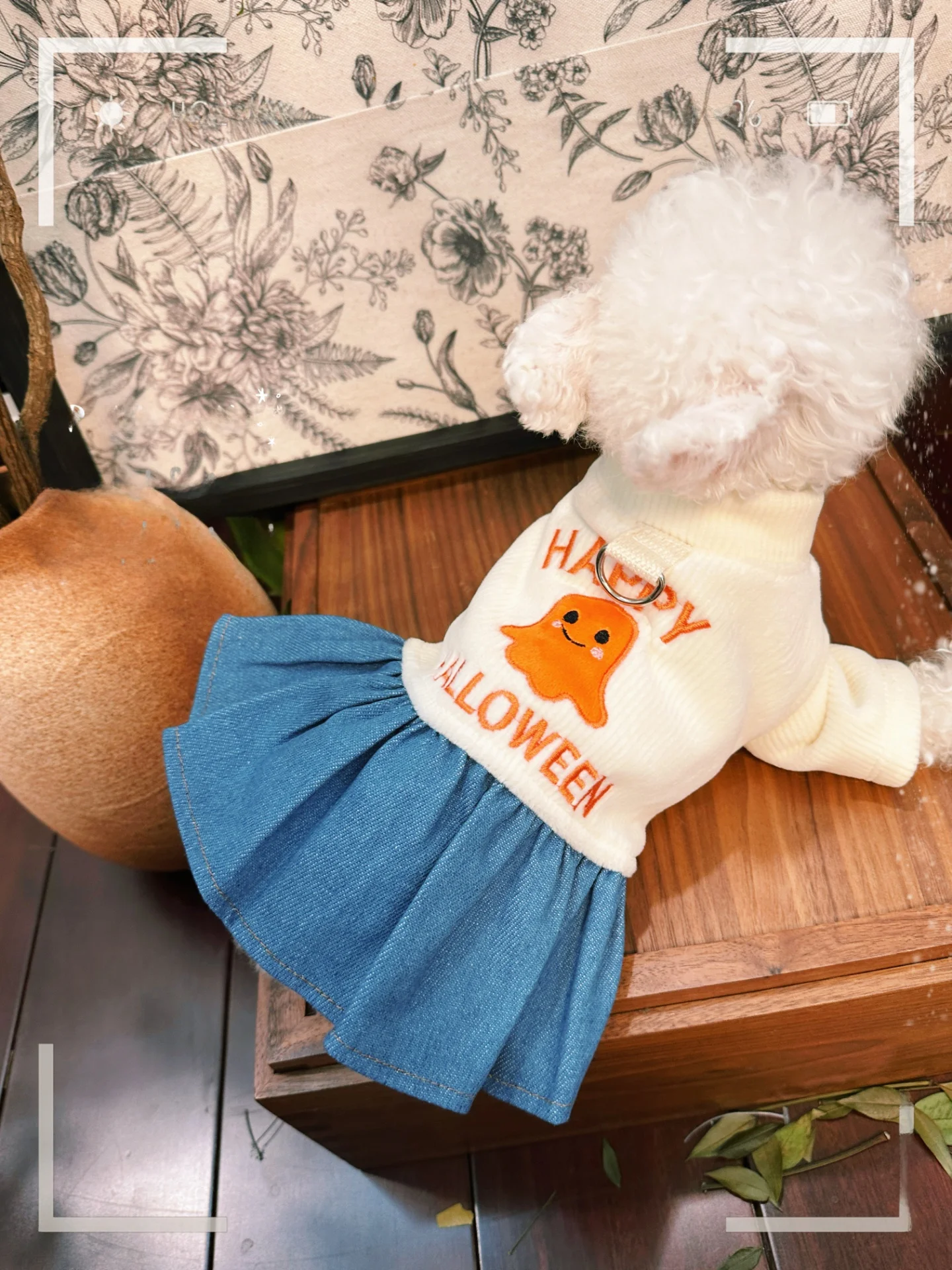 犬用デニムスカート：ハロウィン秋冬シーズンに最適なヨークシャーテリア向けリード付き着物
