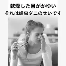 眼部用除螨コットンシート【優しい使い心地・正規品】