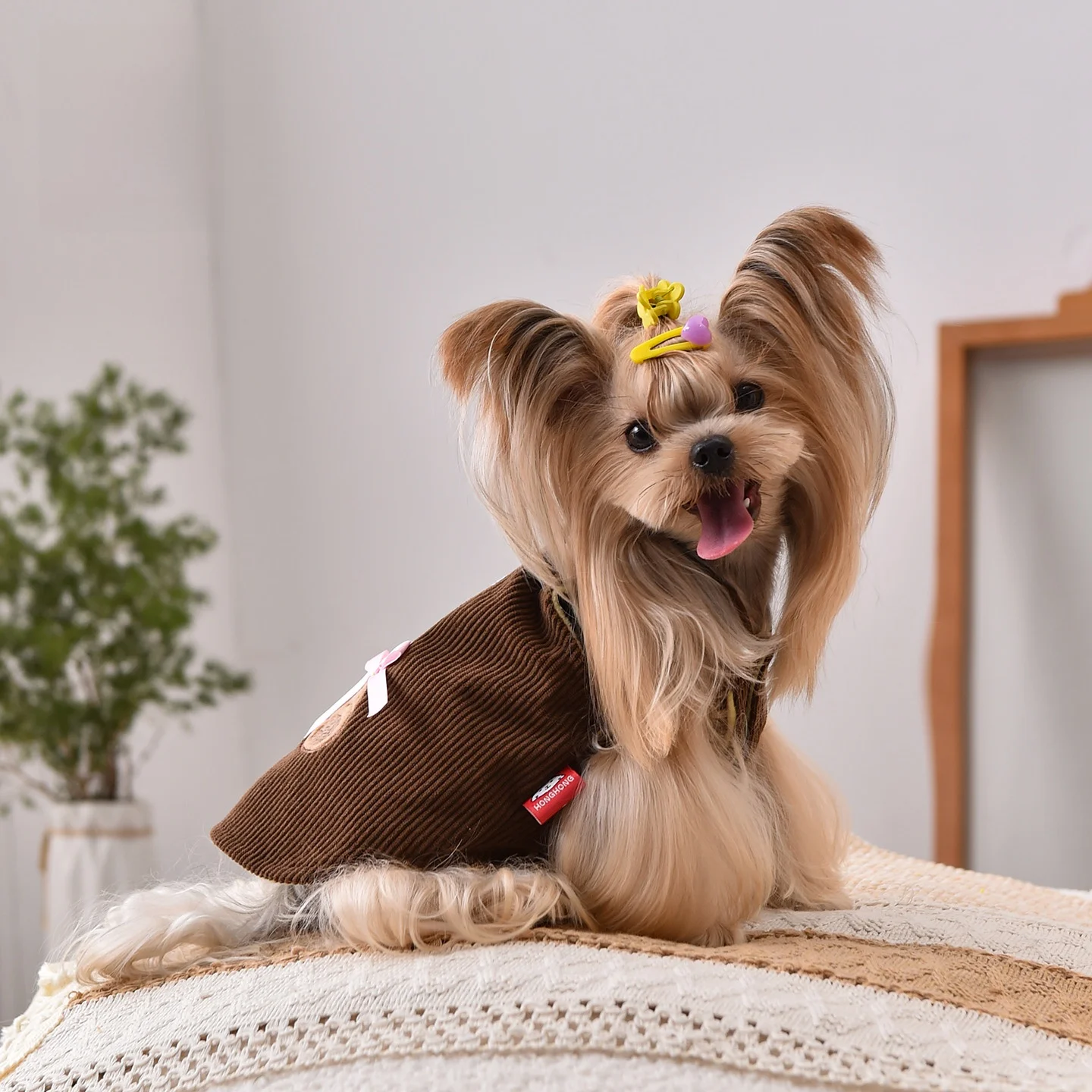 保温性に優れた犬用ダウンベスト：小型犬向けの冬用防寒服の実用性と選び方
