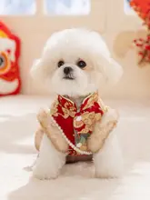 華やかなデザインの小型犬用冬服【ビション・テディ・猫用・新年向け】