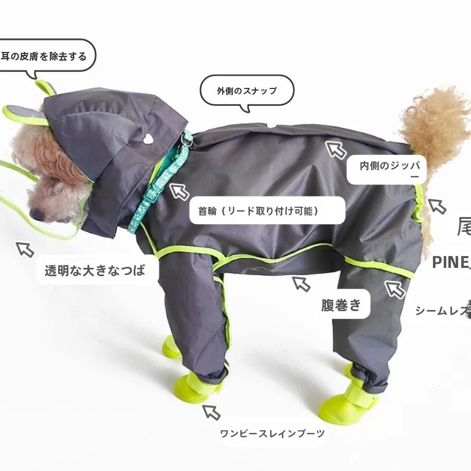 犬のお散歩グッズをコスパ良く揃える方法｜全身カバーレインコートの実際の使い方と選び方