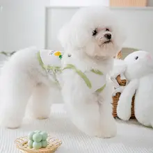 hipidog サマーシーズンピンクボーダー模様の犬用ベスト【春夏用・薄手・小型犬対応】（セットアップ対応）