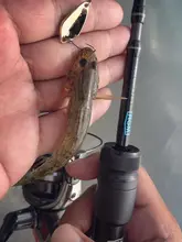 炭素製ルアーロッド【海釣り・イカ釣り・遠投対応】
