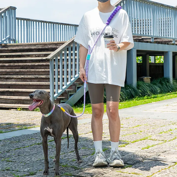多機能犬用ハーネスリード【ハンズフリー・ランニング用・ウエスト装着・S/M/L対応】