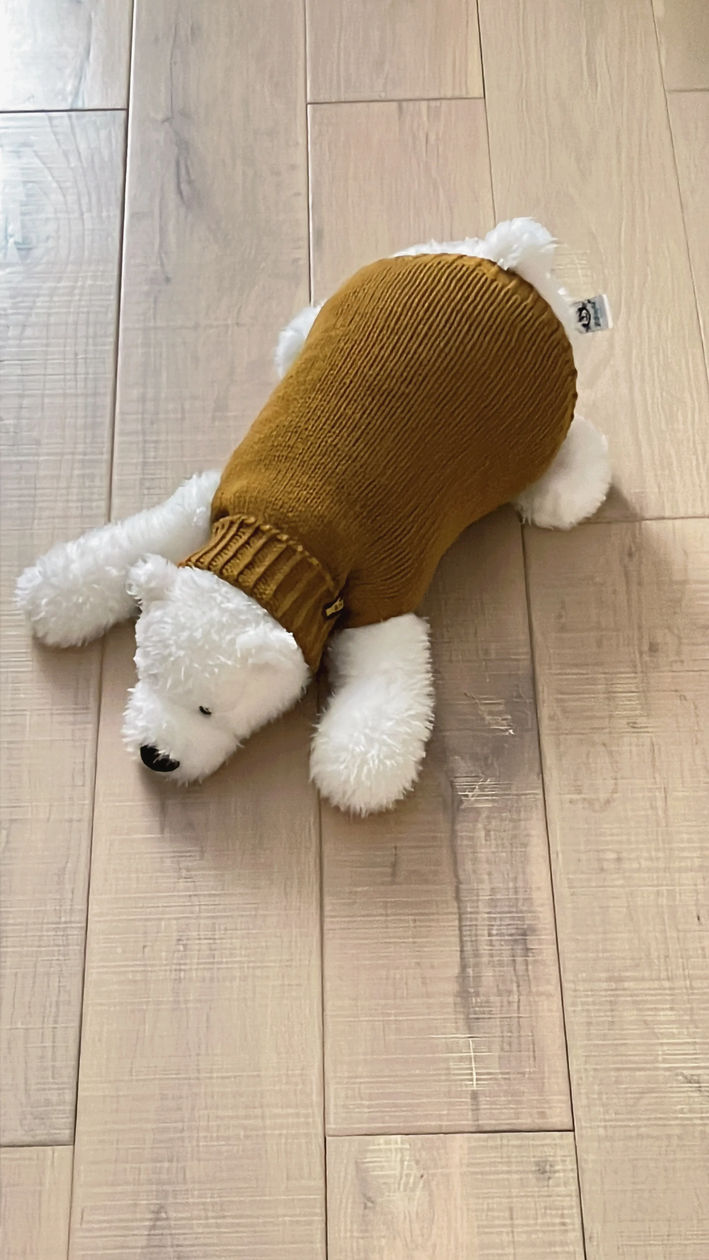 ショートヘア猫用毛糸編み物キット【初心者向け・DIY・ツイード風】の使い方と実際の評価