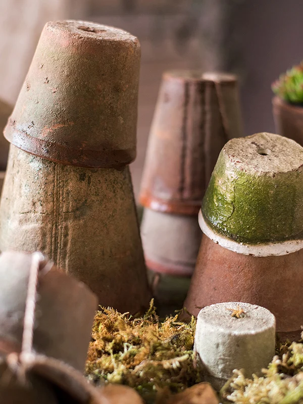ガーデニングの初心者にぴったり？苔の赤陶器花盆がもたらす、心の癒しとは？