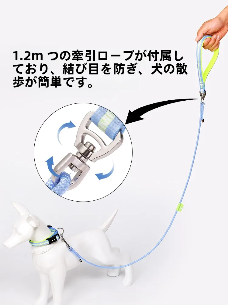 犬のお散歩グッズをコスパ良く揃える方法｜調整可能なリードでストレスフリー散歩を実現