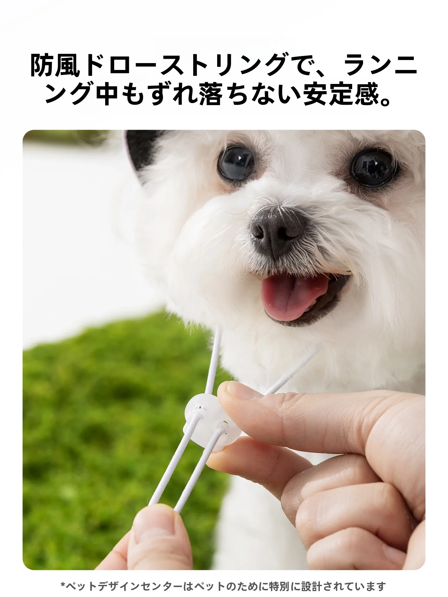 hipidog ペット用 紫外線対策帽子：犬・猫用日よけの耳出しデザインと実用性の詳細解析