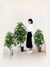 高級感漂うフェイク植栽 ダックフットモク 大型フロア装飾品【インテリア・リビング用】